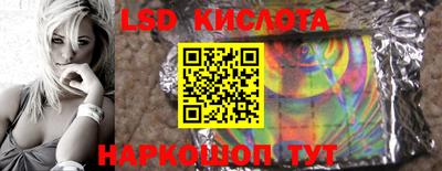 гидропоника Будённовск