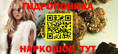 гидропоника Будённовск