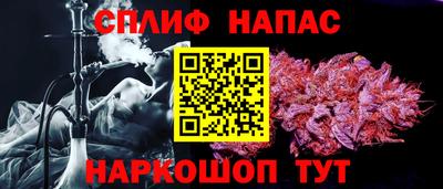 крисы Бузулук